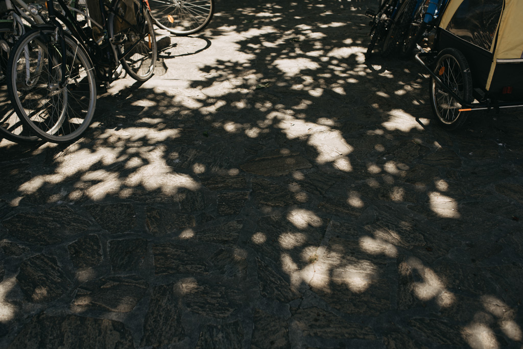 arbres ombres lumière vélos