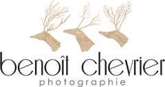 Photographe Mariage Vendée