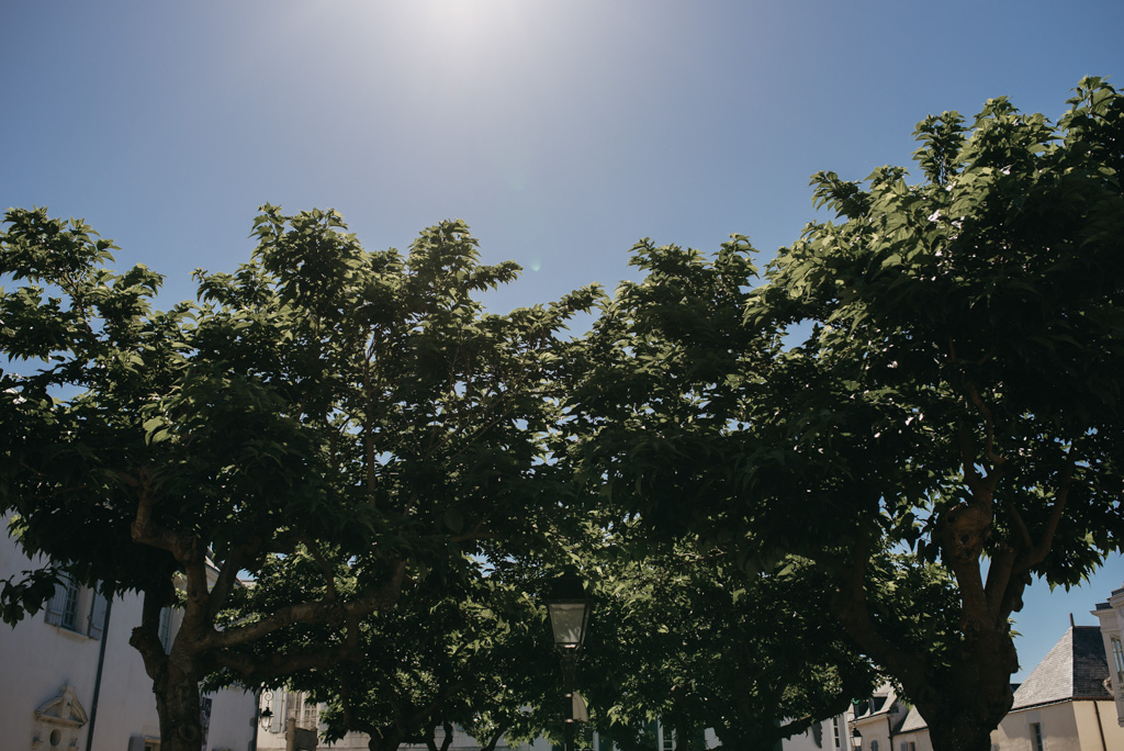 Noirmoutier arbres ciel bleu soleil