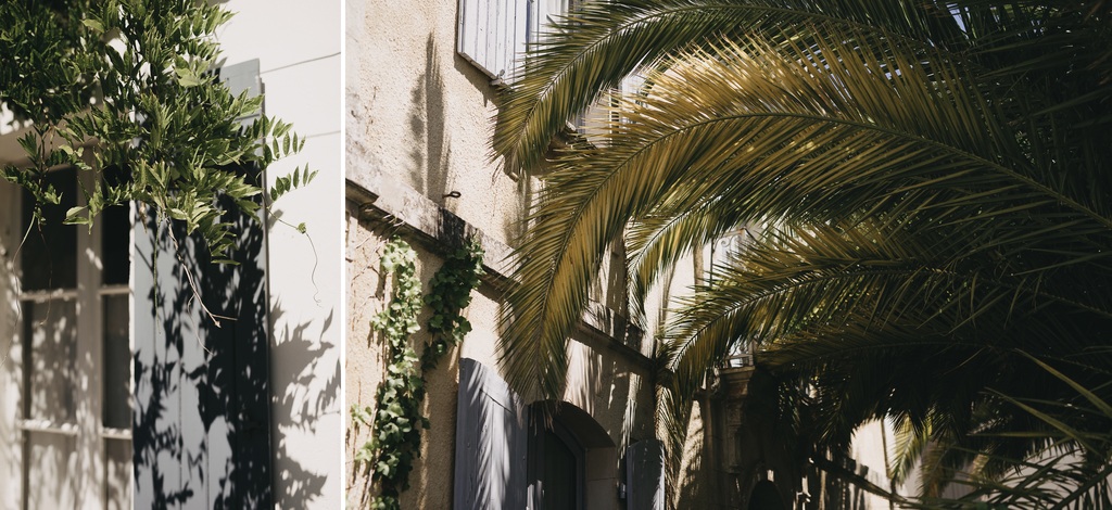 palmier Noirmoutier volets glycine soleil