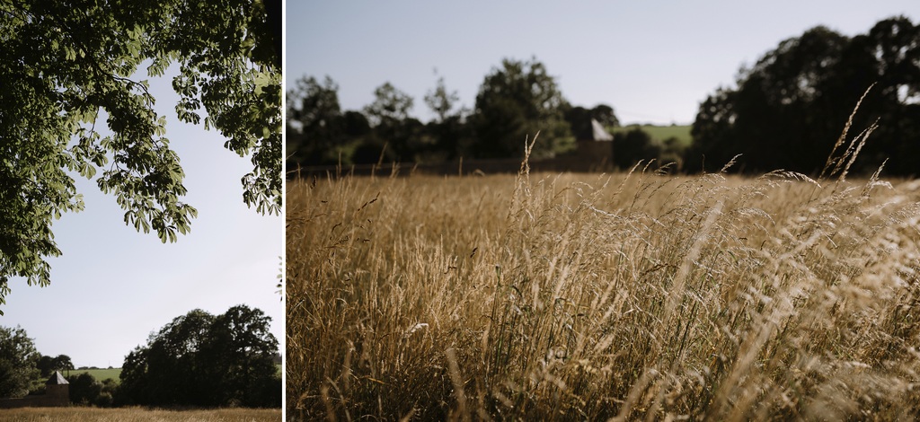 engagement mayenne maine-et-loire champ arbres