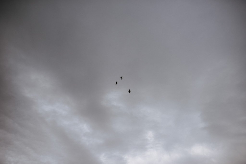 mouettes nuages mer Bile Morbihan