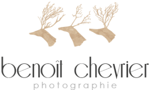logo Benoît Chevrier Photographie