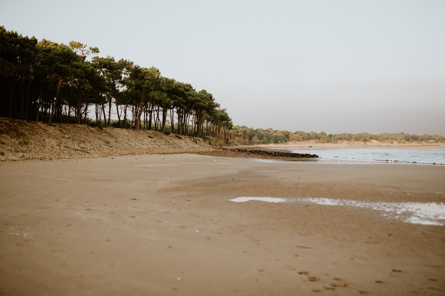 Plage Veillon Talmont Saint Hilaire arbres