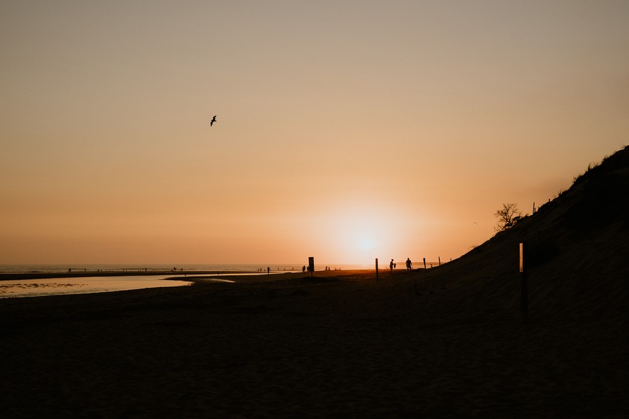 coucher soleil Veillon oiseau ombres