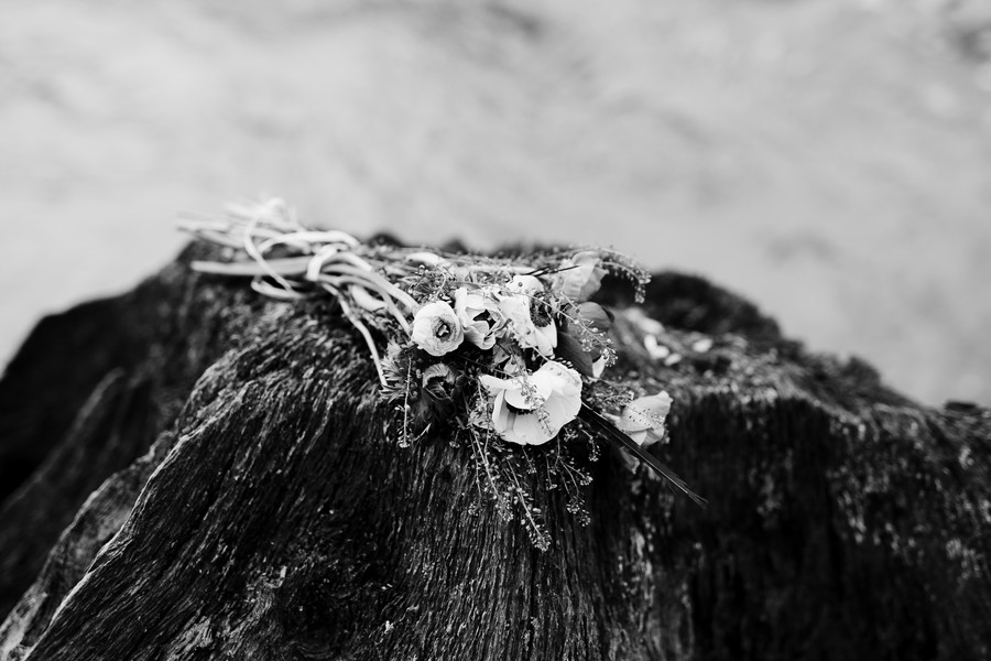 fleurs sur rocher noir et blanc Mervent