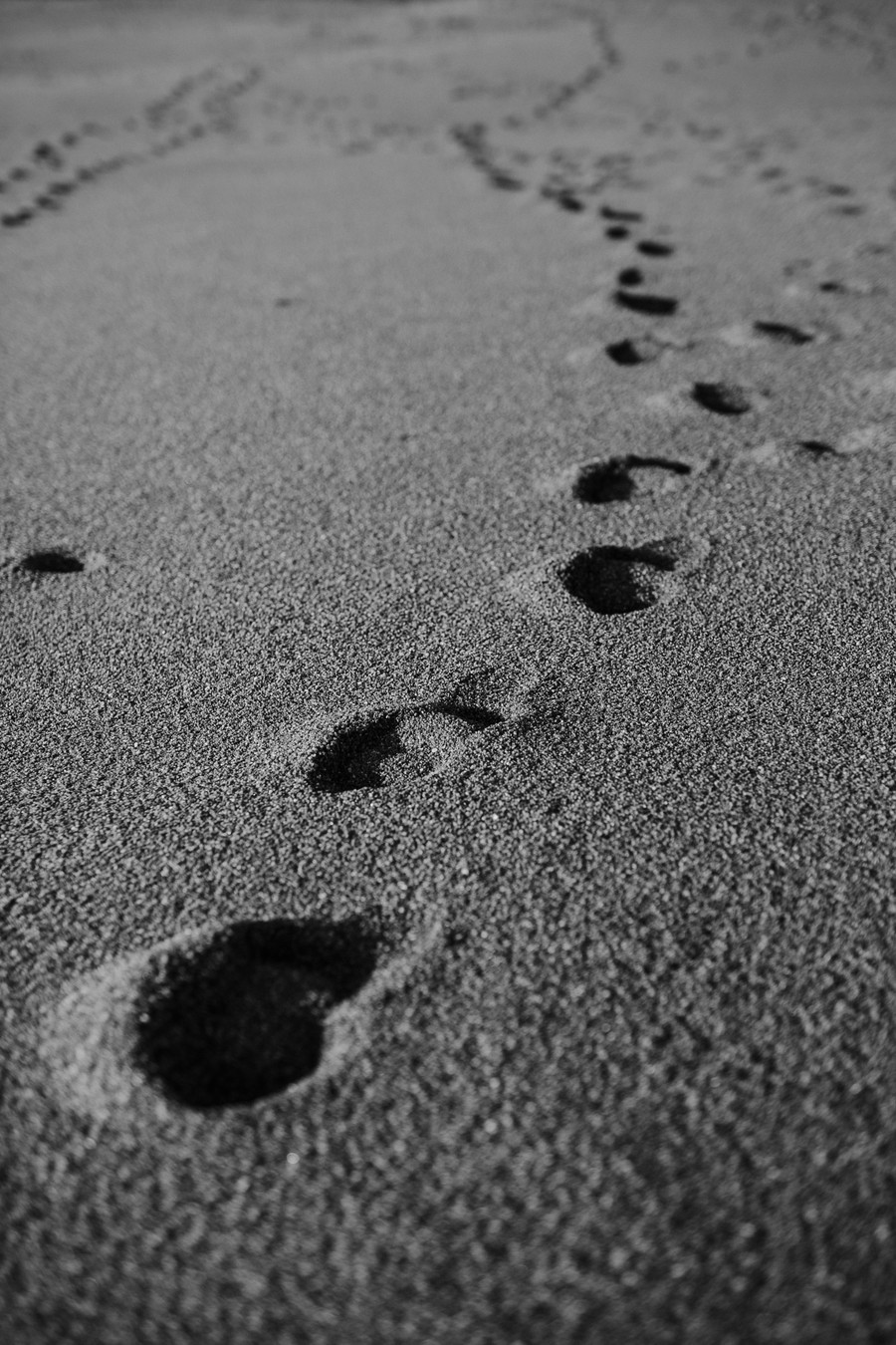empreintes dans le sable plage Paracou Sables d'Olonne