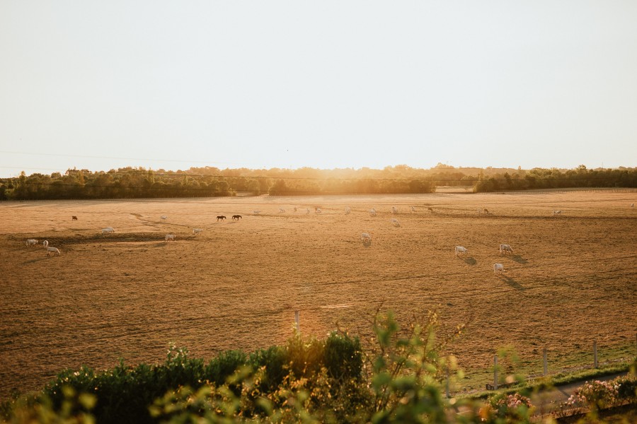 paysage marais Lairoux Vendée fin de journée
