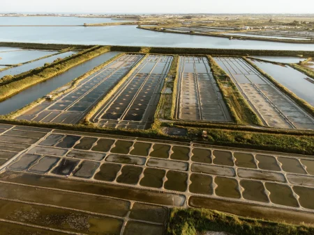 Les marais salants de Noirmoutier vues par drone
