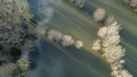 Vue de drone du Marais poitevin inondé avec ses têtards